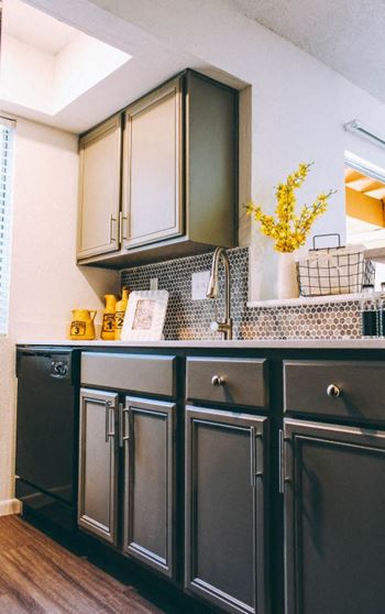 designer interior finishes in apartments near zilker park